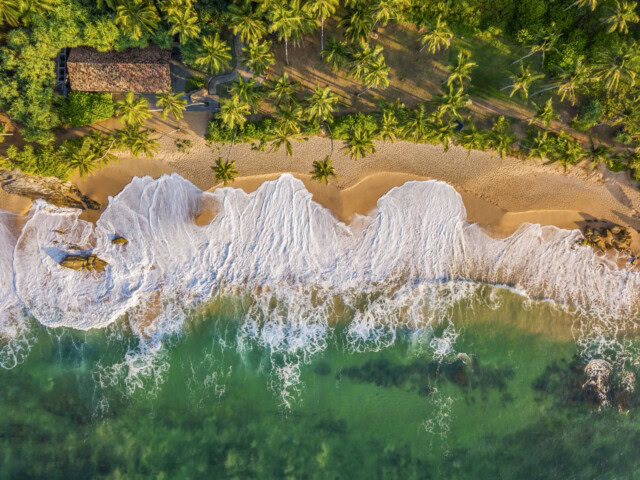 Aerial view of a tropical beach in Sri Lanka, with lush palm trees, a thatched-roof building, and waves washing onto the sandy shore.