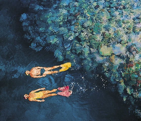 Two people snorkeling in the clear blue waters of Australia near a colorful coral reef, viewed from above.