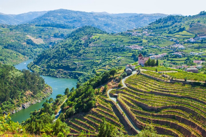 A scenic view of terraced vineyards on hillsides overlooking a winding river in Portugal amid a lush, green landscape under a clear sky.