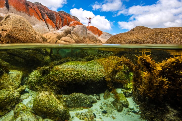 A split-shot image shows underwater rocks and seaweed. Above the water, a person stands on Tasmania's rocky shoreline with arms raised, set against a blue sky with white clouds—a perfect travel moment for any tourism enthusiast.