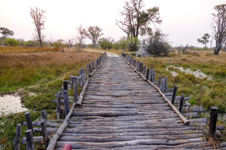 A rustic wooden footbridge in a grassy landscape under a pale sky, leading towards a path surrounded by sparse trees, captures the serene beauty of Botswana travel.