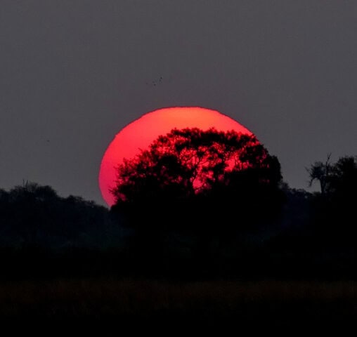 A large red sun sets behind a silhouetted tree and dark landscape in Botswana, casting a striking glow in the sky. This breathtaking view is one of the best you'll ever capture for your travel blog.