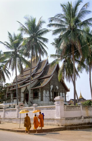 Three people in orange robes and carrying umbrellas walk along a street past a temple with ornate architecture and tall palm trees, captured in the serene beauty of Laos.
