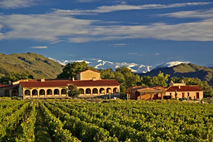 Vineyard with green grapevines in the foreground, a large building with arched windows and red-tiled roofs in the middle ground, and Argentina's mountainous landscape under a blue sky in the background.