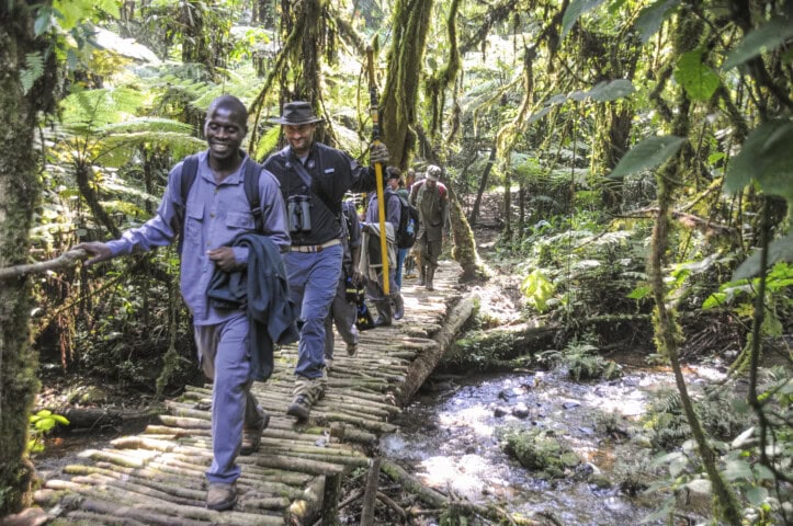 A guided group of travelers hikes through the forest, crossing a small stream on a footbridge made of wooden logs. Tall trees and dense greenery surround the area, making it a picturesque tour.