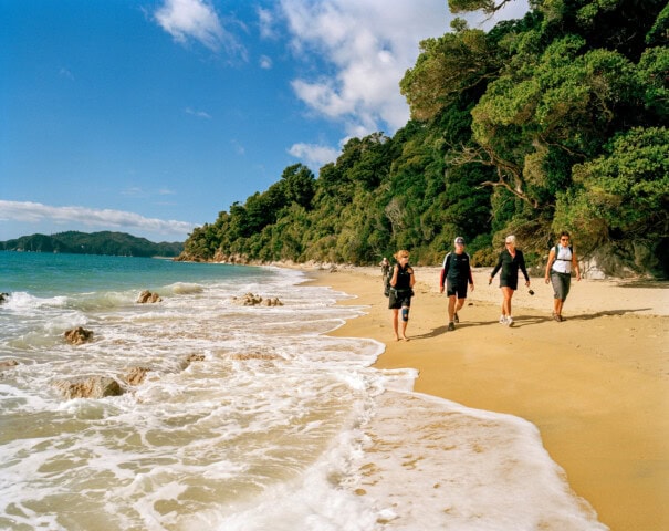 Four people stroll along a sandy beach near the waterline in New Zealand, with lush green trees and a clear blue sky providing a stunning backdrop.