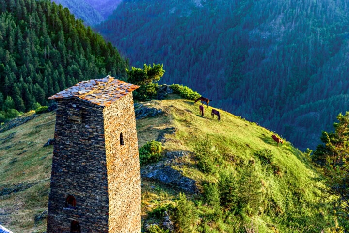 A stone tower stands on a grassy hill in a mountainous forest area of Georgia, with a few grazing horses nearby.