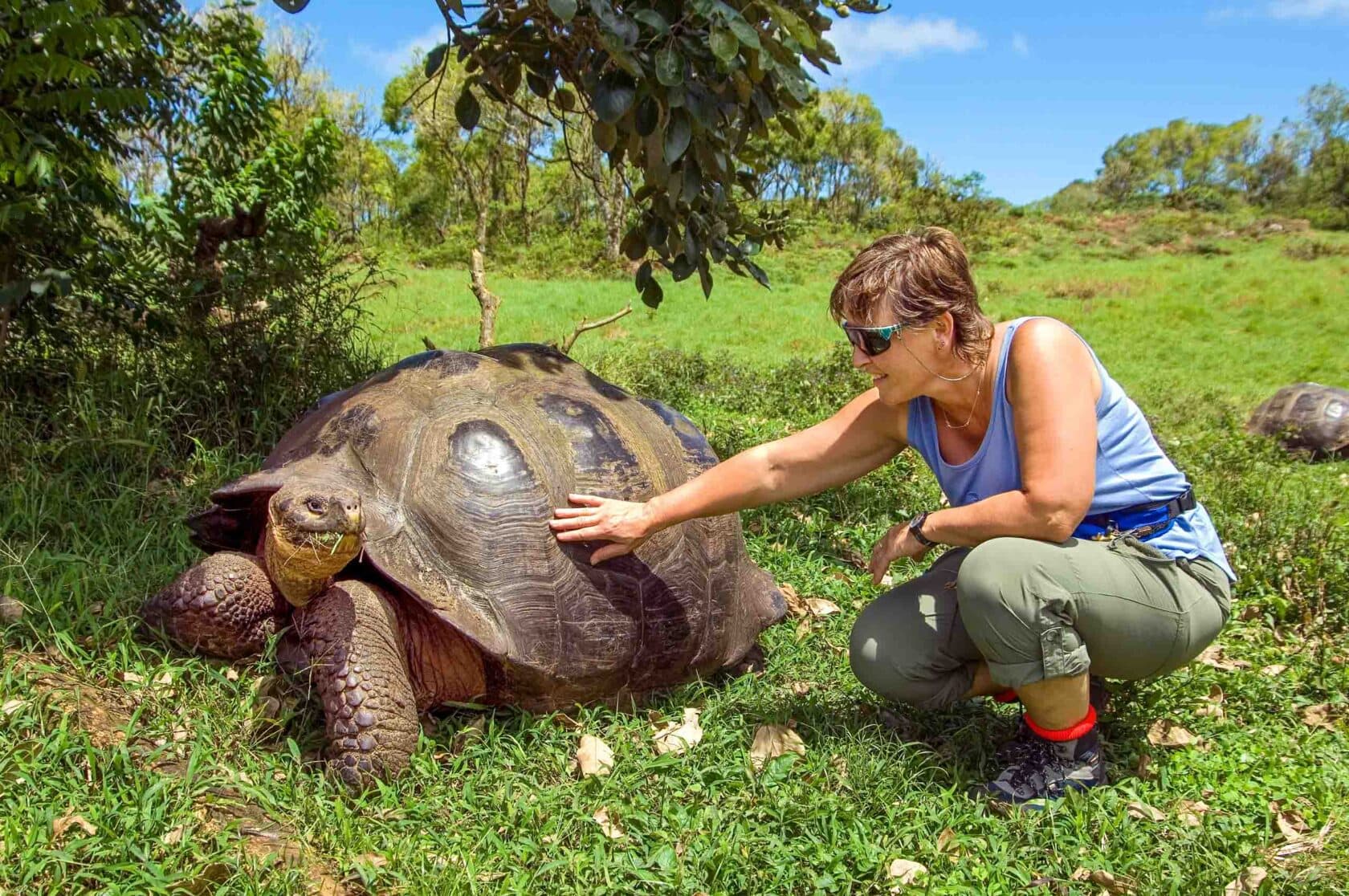 A tourist alongside a giant tortoise.