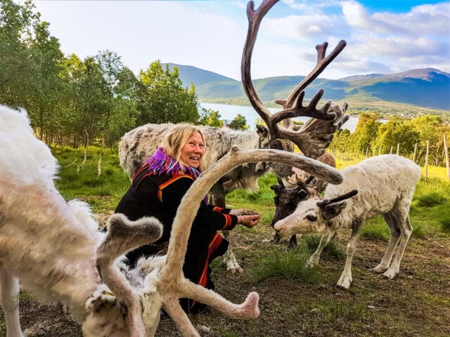 A person kneels on the ground in Norway, interacting with four reindeer in a grassy, mountainous area under a partly cloudy sky.