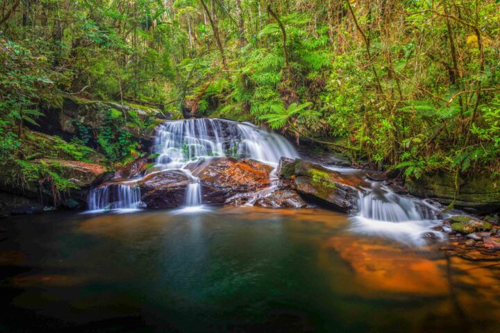 Gentle waterfall and stream in Andasibe National Park.