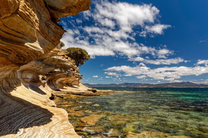 A rocky coastline with layered rock formations, a lone tree, and clear turquoise waters under a partly cloudy blue sky showcases the serene natural beauty perfect for travel in Tasmania.