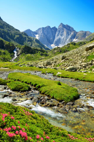 A clear mountain stream runs through a green meadow with pink flowers in the foreground and tall, rugged mountains under a clear blue sky in the background, painting an idyllic tourism scene perfect for travel enthusiasts exploring France.