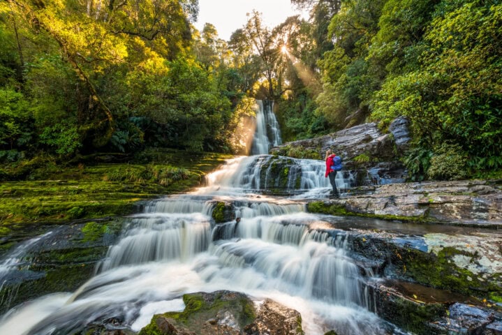 A hiker in a red jacket stands near a multi-tiered waterfall cascading through a New Zealand forest with sun rays streaming through the trees.