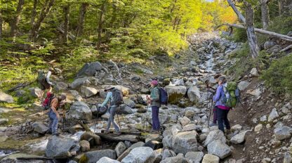 Five travelers with backpacks cross a rocky stream in a forest filled with green and yellow foliage under a clear sky, capturing the spirit of an adventurous trip.