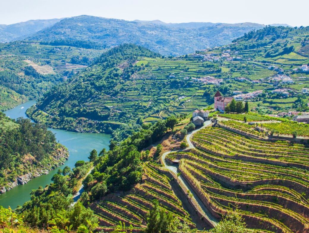 Terraced vineyards on rolling hills overlooking a river, with mountains in the background and scattered buildings throughout the greenery, create a picturesque scene that captivates visitors all months of the year.