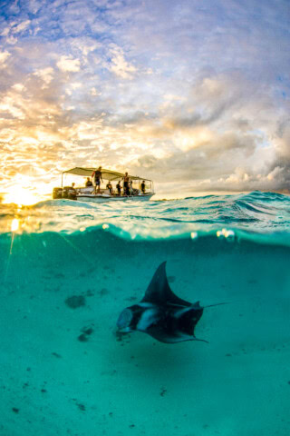 A manta ray gracefully swims underwater in the clear turquoise sea of Palau, while people stand on a boat above the surface, mesmerized by the breathtaking sunset.