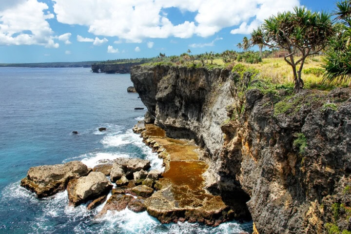 Rocky coastline featuring high cliffs, a tree on the edge, and waves crashing against the rocks below under a partly cloudy sky reminiscent of Tonga's stunning vistas.