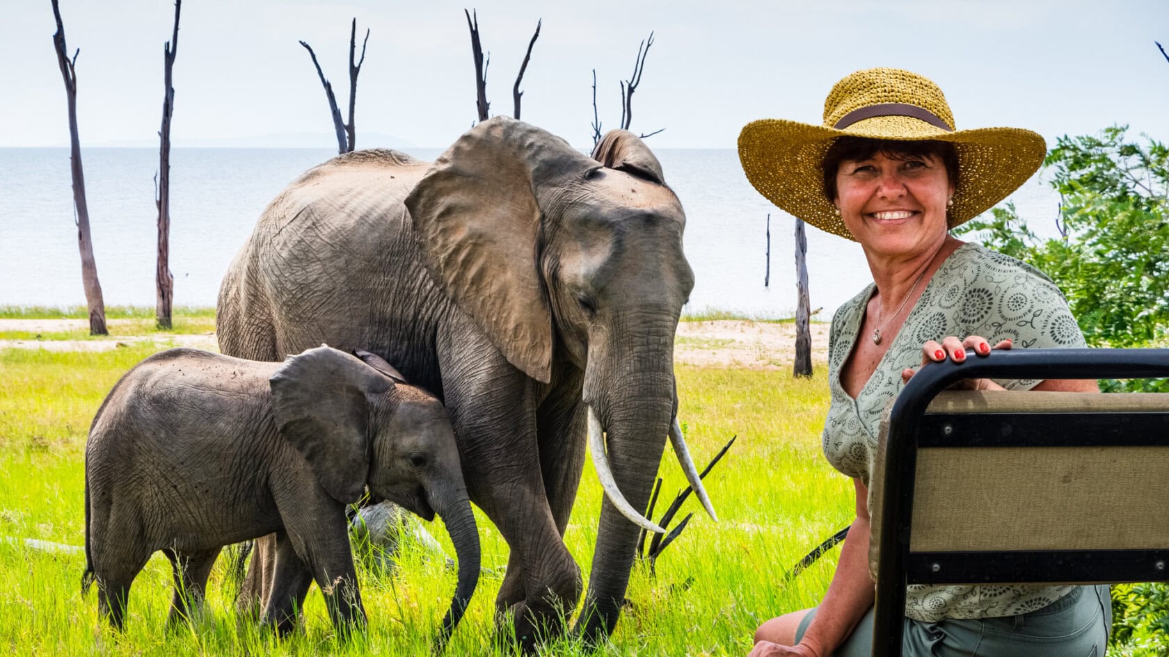 Woman tourist sitting in tracker’s chair with elephant grazing in background