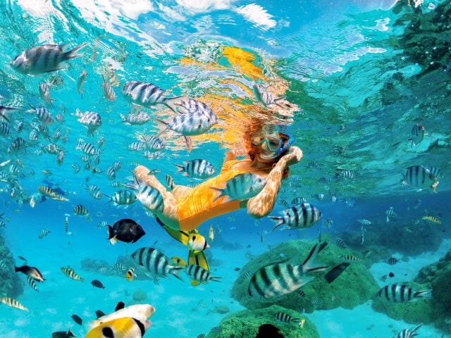Woman Snorkeling in French Polynesia Surrounded by Tropical Fish in Crystal-Clear Water