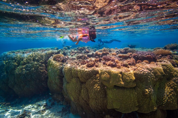 Two people snorkeling above a large coral reef in the clear blue waters of Tonga.