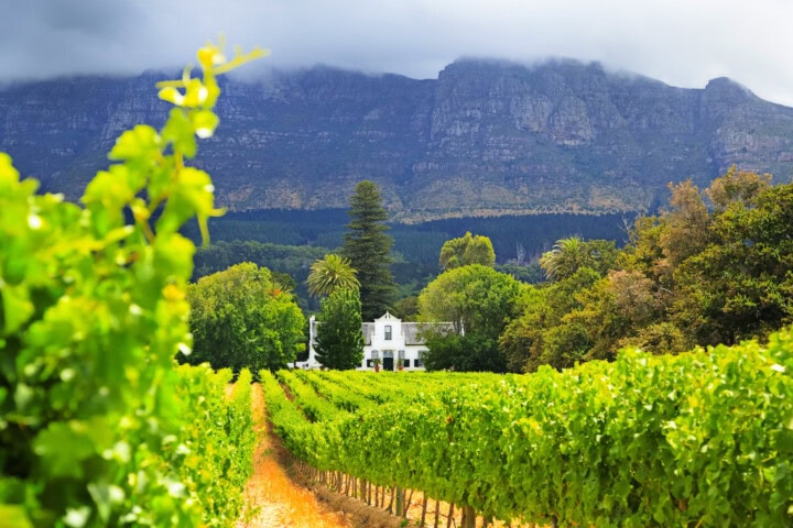 A white house is nestled among vibrant green vineyards with a backdrop of large, cloud-covered mountains and dense forest trees, promising an adventure for any traveler.
