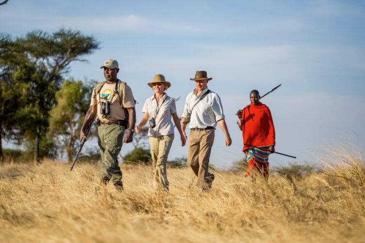 Tourists on a walking safari with local guides in Tarangire National Park in Tanzania