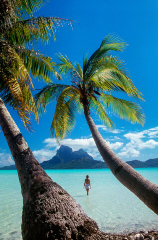 A person wades in clear turquoise water near an island with mountain peaks, framed by bent palm trees under a bright blue sky in the tropical paradise of French Polynesia.