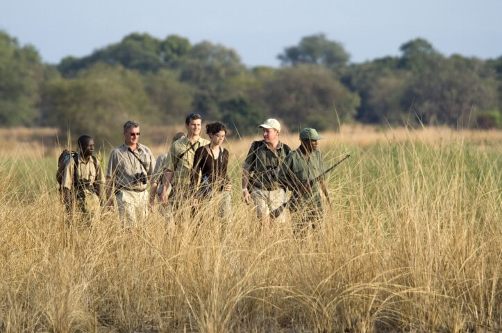 A group of people, several in safari attire, walk through tall grass with an outdoor, wooded background in Zambia.